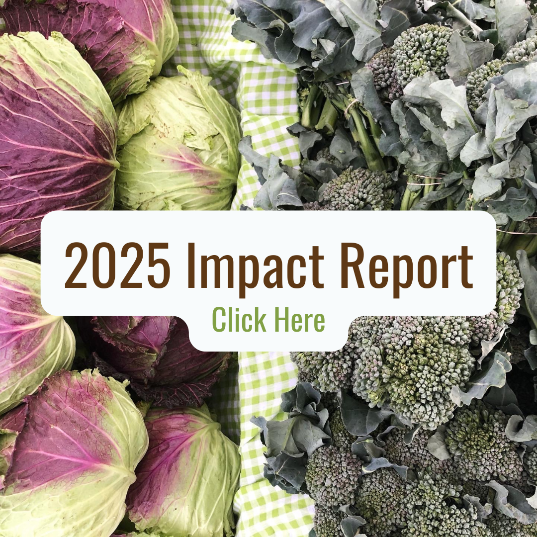 Impact Report_Website